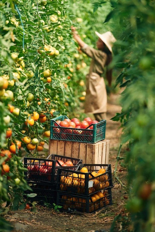 Comment les bâtiments peuvent-ils être conçus pour maximiser l'efficacité énergétique ?